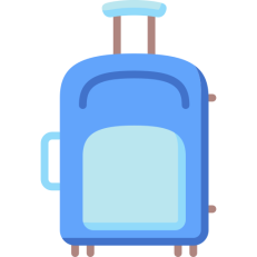 Travel Bags
